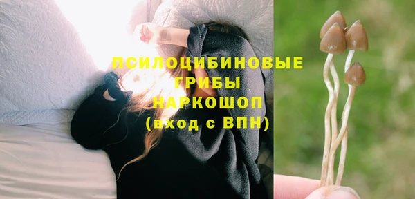 индика Алексин