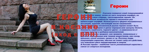 индика Алексин