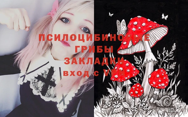 твердый Абаза