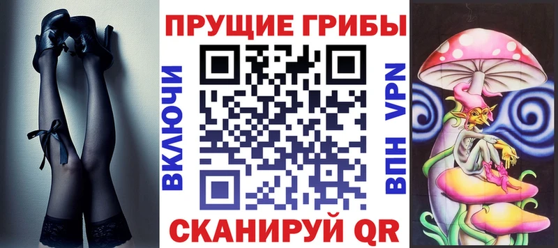 Галлюциногенные грибы Psilocybine cubensis  KRAKEN сайт  Железноводск  закладка 